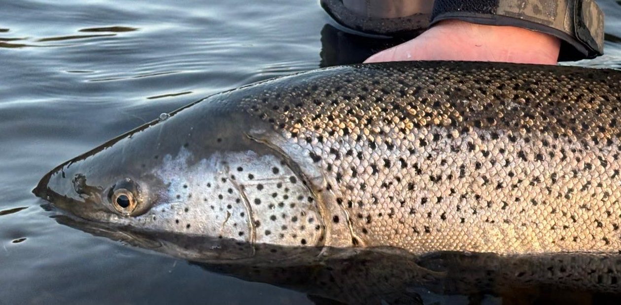 Pushing back the winter to find some colour across Iceland