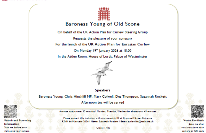 The House of Lords talks curlews – see full story in Articles