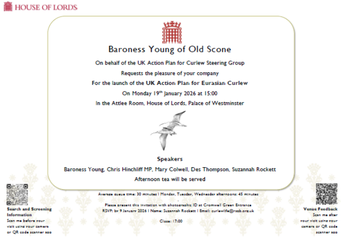 The House of Lords talks curlews – see full story in Articles