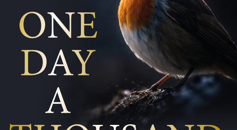 New book – One Day a Thousand Songs – released 6 May